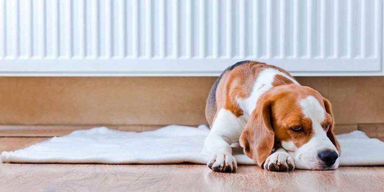 Home Heating Systems: Time to