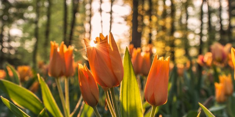 Indoor-Air-Quality-Products