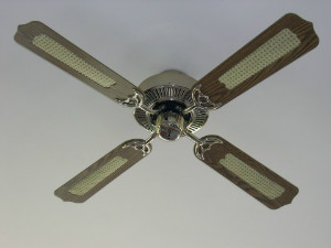 fan